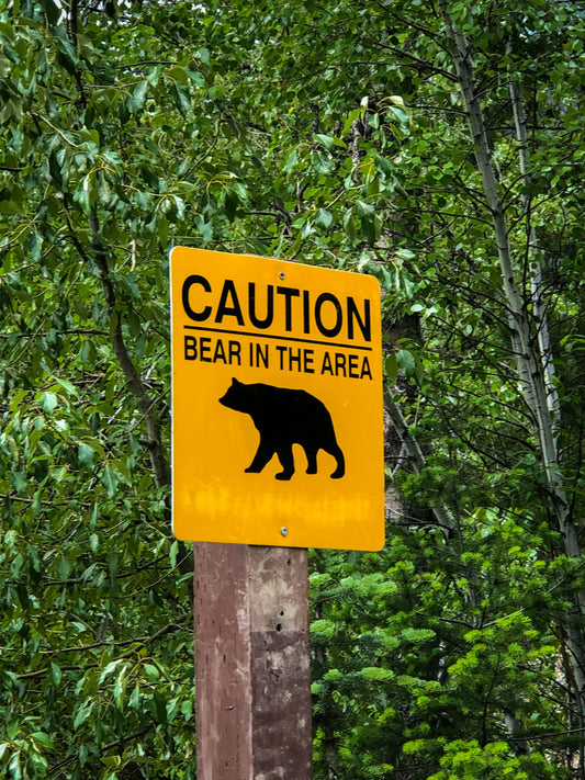 Faune sauvage au camping : comment cohabiter avec les animaux