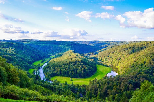 Les Ardennes belges : Paradis du camping en forêt
